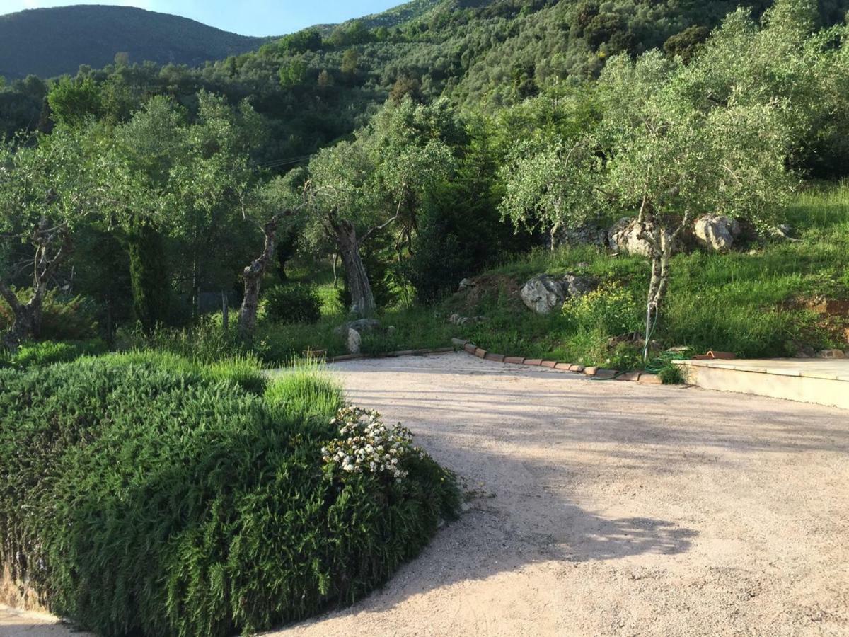 Valuable Rustic Tuscan Swimming Pool, Breathtaking View Of Camaiore Dış mekan fotoğraf