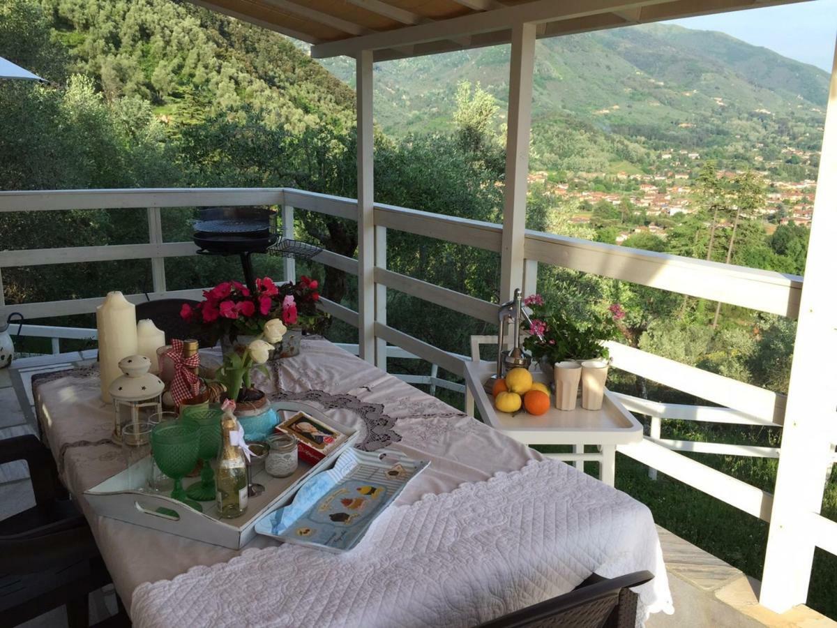 Valuable Rustic Tuscan Swimming Pool, Breathtaking View Of Camaiore Dış mekan fotoğraf